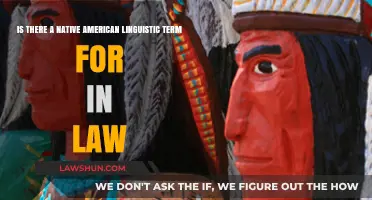 Exploring Native American Languages: In-Law Terminology and Cultural Contexts