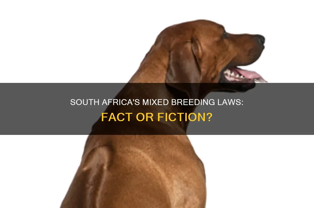 is there a no mixed breeding law in south africa