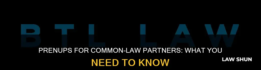 is there a prenup for common law