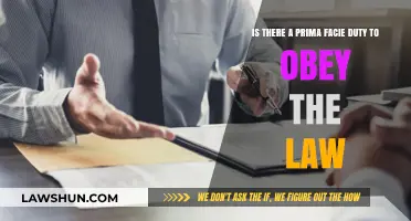 Prima Facie Duty to Obey the Law: Moral Obligation or Legal Necessity?