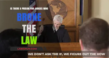 Judges Behind Bars: Accountability for Legal Professionals Who Break the Law