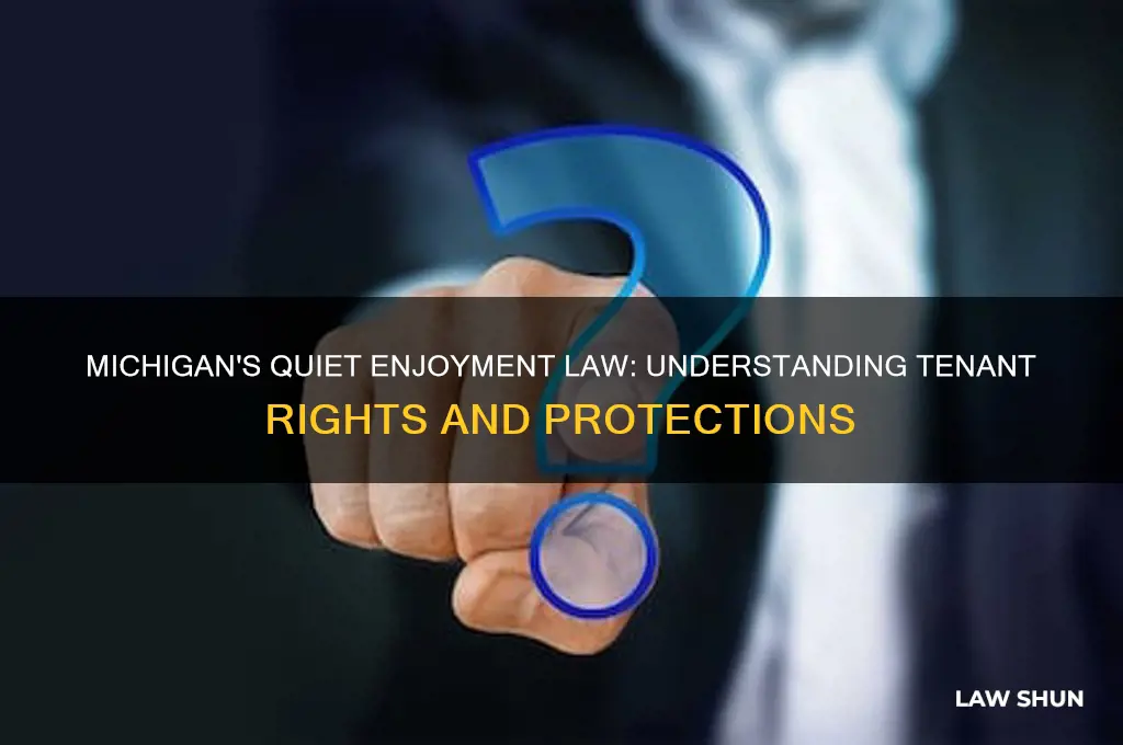 is there a quiet enjoyment law in michigan
