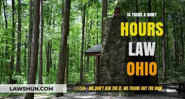Ohio's Quiet Hours Law: Understanding Noise Regulations and Restrictions