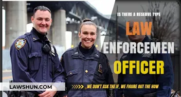 Exploring the Role of Reserve Law Enforcement Officers in Policing