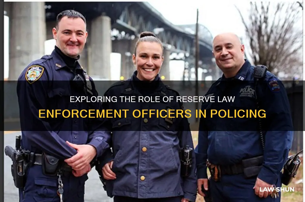 is there a reserve type law enforcemenrt officer
