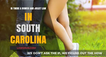 Romeo and Juliet Law in South Carolina: What You Need to Know