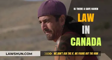 Canada's Safe Haven Law: What You Need to Know
