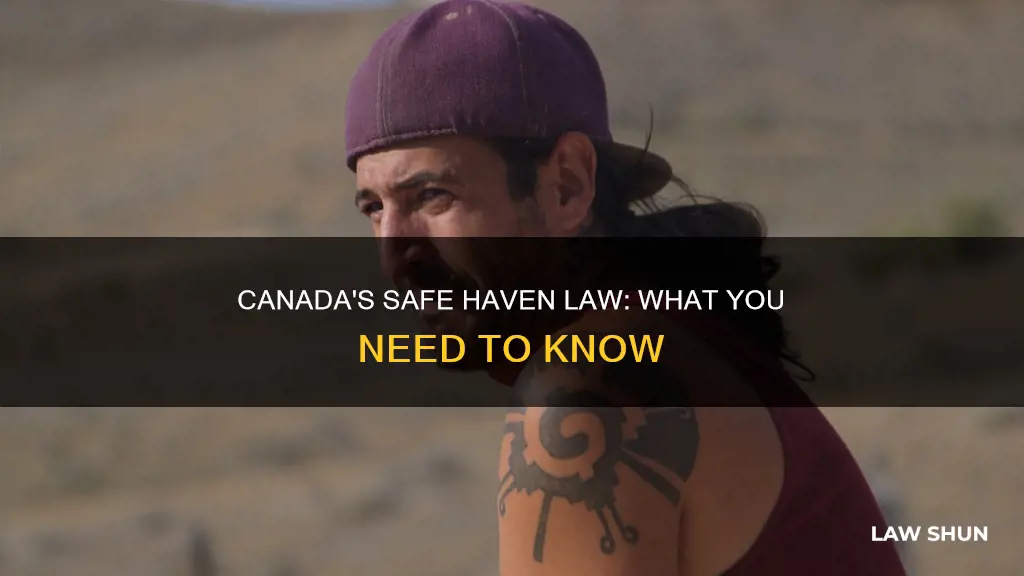 is there a safe haven law in canada