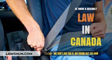 Wearing Seatbelts: Canada's Law and You