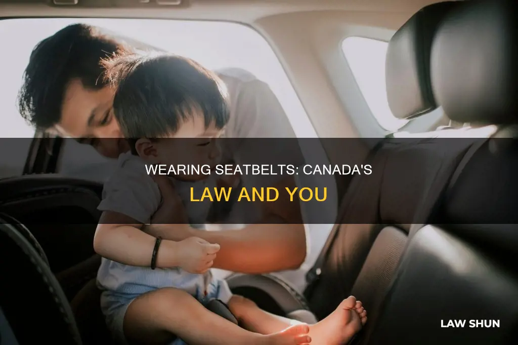 is there a seatbelt law in canada