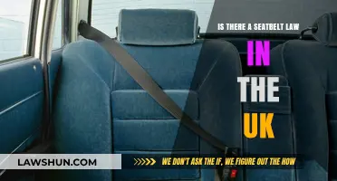 UK Seatbelt Laws: What You Need to Know