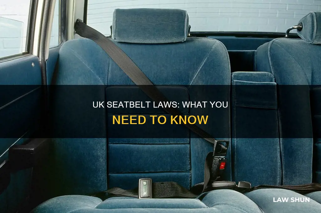 is there a seatbelt law in the uk