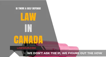 Self-Defense Laws in Canada: What You Need to Know