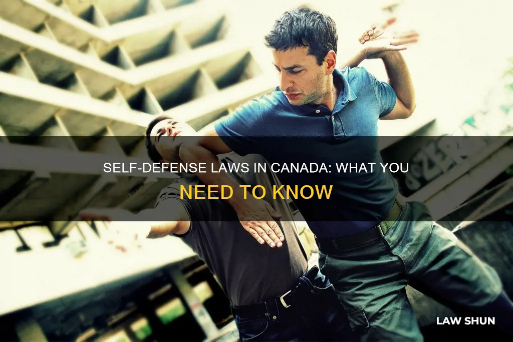 is there a self defense law in canada