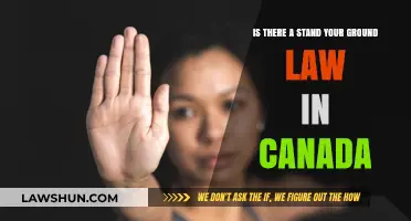 Stand Your Ground: Canada's Laws on Self-Defense