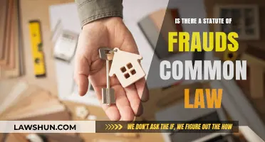 Statute of Frauds: Common Law's Exception