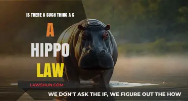 Hippo Law: Myth or Reality? Exploring Legal Legends and Facts