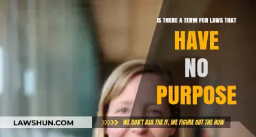 Do Useless Laws Exist? Exploring the Concept of Purpose-Less Legislation