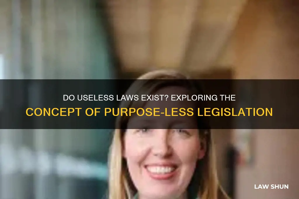 is there a term for laws that have no purpose