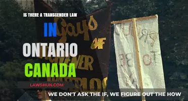Transgender Rights: Ontario's Laws and Their Impact