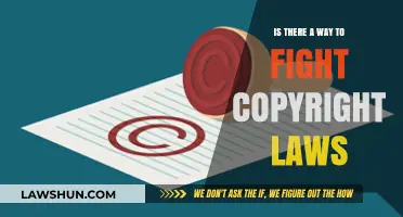 Challenging Copyright Laws: Strategies for Fair Use and Creative Freedom
