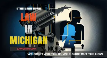 Michigan Wiretapping Laws: What You Need to Know