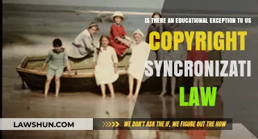 Educational Use vs. Copyright Sync Law: Understanding the Exception
