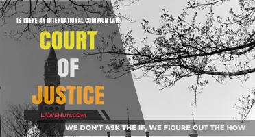 International Common Law Court of Justice: Fact or Fiction?