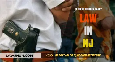 Open Carry in New Jersey: Understanding the State's Gun Laws