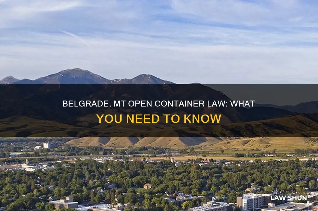is there an open container law in belgrade mt