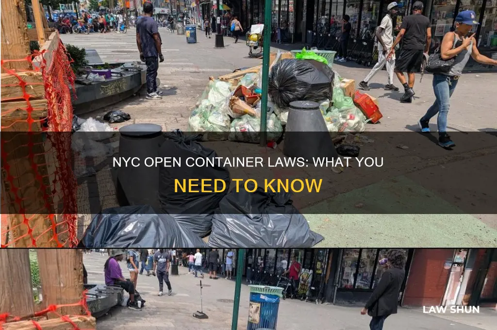 is there an open container law in nyc