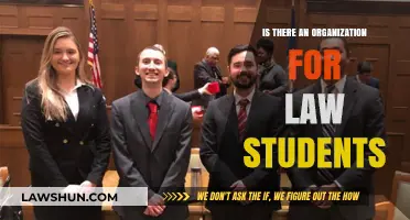 Exploring Law Student Organizations: Networking, Support, and Career Growth Opportunities
