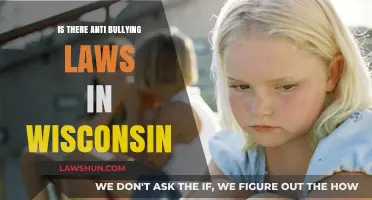 Wisconsin's Anti-Bullying Laws: Understanding Legal Protections in Schools