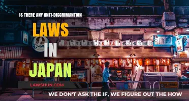 Japan's Anti-Discrimination Laws: Understanding Legal Protections and Limitations