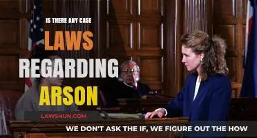Arson Case Laws: Exploring Landmark Rulings and Their Impact