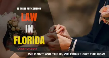 Common Law in Florida: What's the Deal?