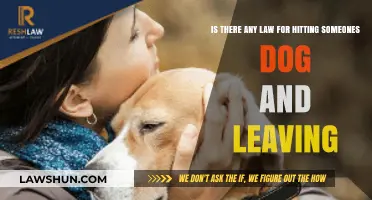 Legal Consequences of Hitting Someone's Dog and Fleeing: What You Need to Know