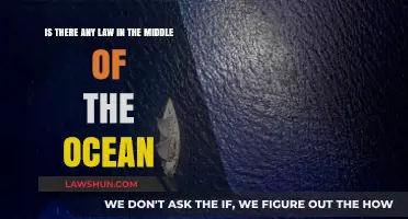 Ocean Law: Governing the High Seas and International Waters