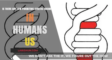 Is Human Genetic Engineering Legal in the U.S.?