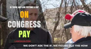 Congressional Pay Caps: Legal Limits on Lawmaker Salaries Explained
