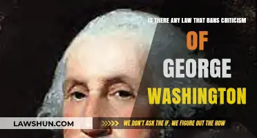 Criticizing George Washington: Legal Limits or Free Speech?