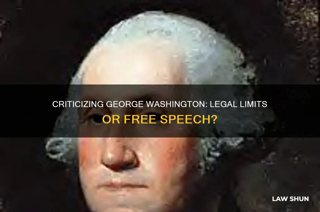 is there any law that bans criticism of george washington