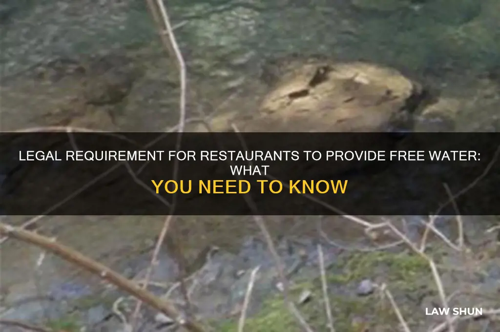 is there any law that restaurant must iffer free watwr