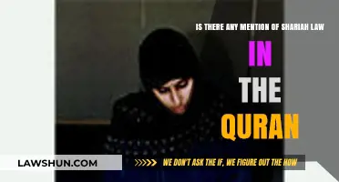 Shariah Law in the Quran: Exploring Scriptural References and Interpretations