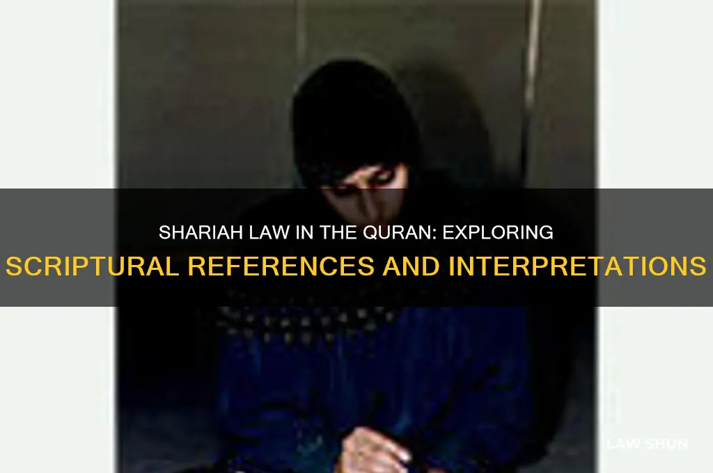 is there any mention of shariah law in the quran