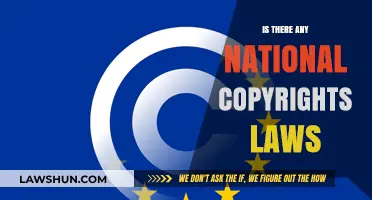 Exploring National Copyright Laws: Global Protections for Creative Works