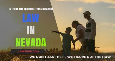 Common Law in Nevada: What Recourse is There?