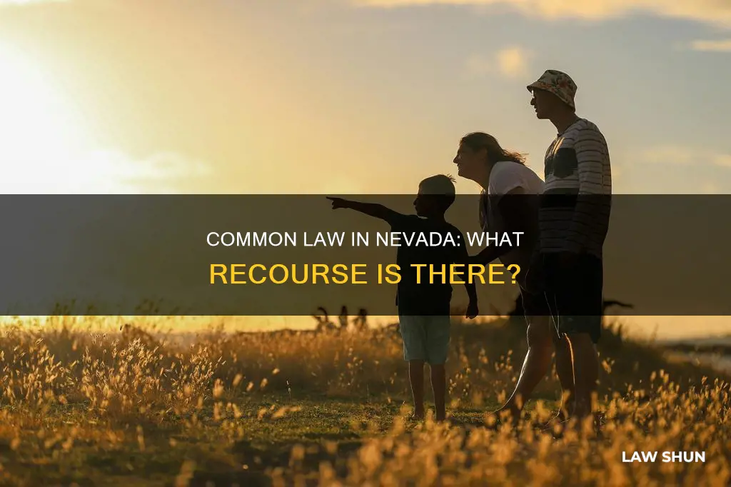 is there any recourse for a common law in nevada