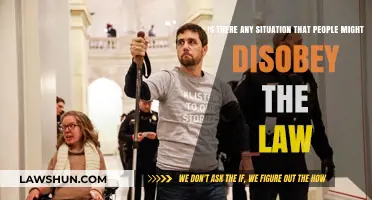 When and Why Do People Disobey the Law? Exploring Justifications
