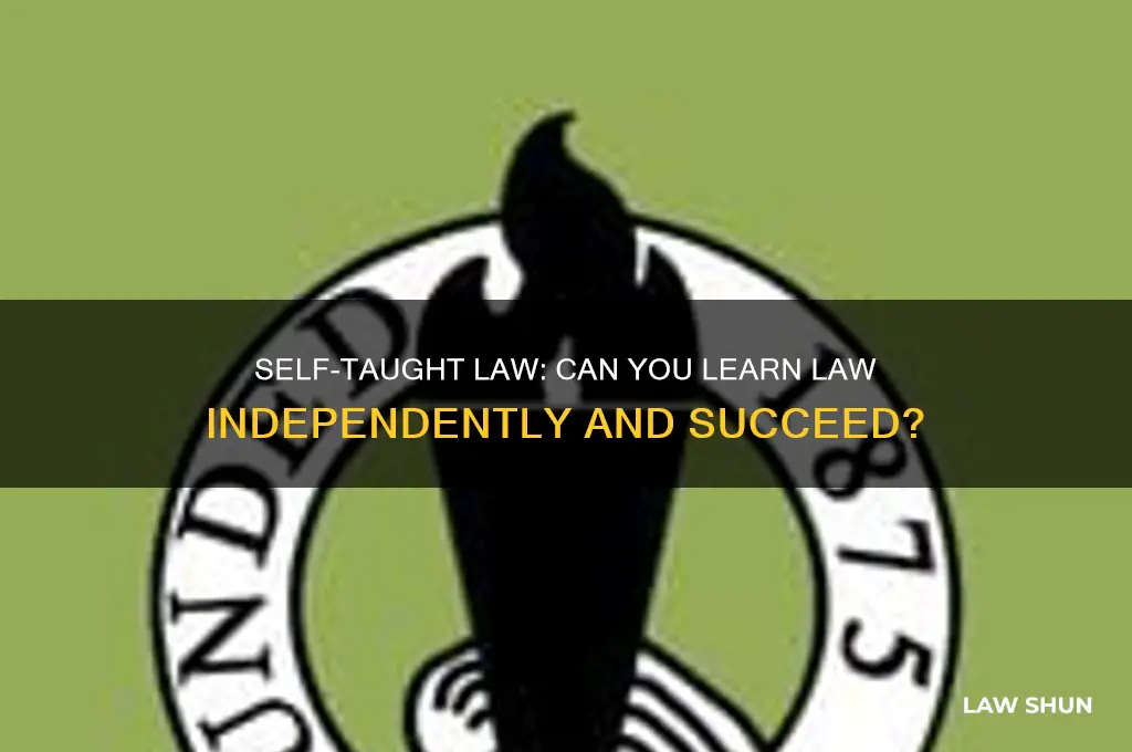 is there any way to learn law just by yorself